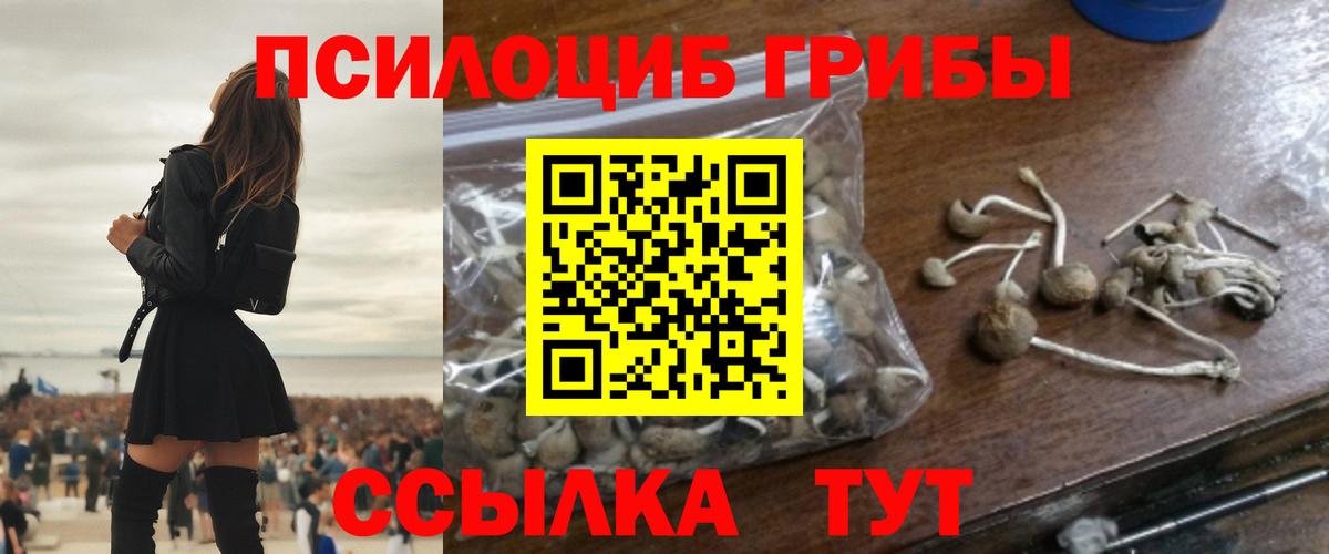 Галлюциногенные грибы мухоморы Балтийск